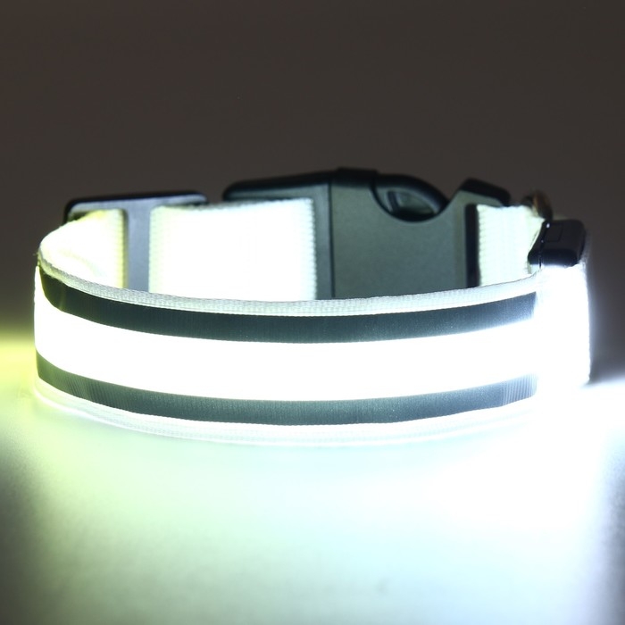 Ошейник с подсветкой Двойная полоса размер S, ОШ 35-43 х 2,5 см, 3 режима свечения белый Ошейник с подсветкой Двойная полоса размер S, ОШ 35-43 х 2,5 см, 3 режима свечения белый