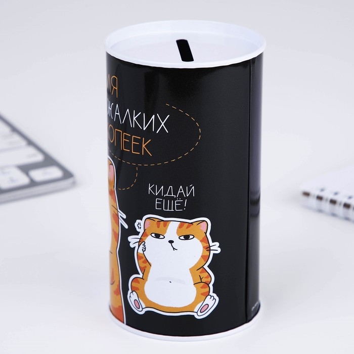 Копилка «Для твоих копеек», 12 х 6,5 см Копилка «Для твоих копеек», 12 х 6,5 см