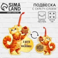 Подвеска картонная &laquo;Кот&raquo; со скретч-слоем, 13&times;13 см