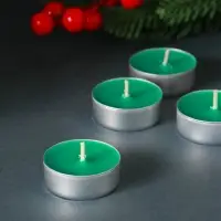 Набор свечей ароматических чайных &laquo;Хвойная иголка&raquo;, 9 шт.