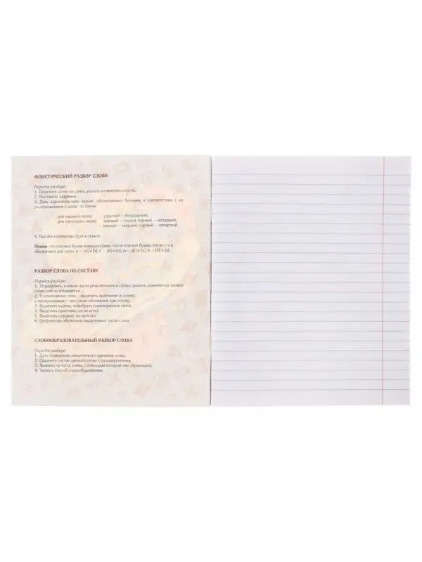 Тетрадь предметная 48 листов в клетку Calligrata, &laquo;Кеды. Русский язык&raquo;, картонная обложка