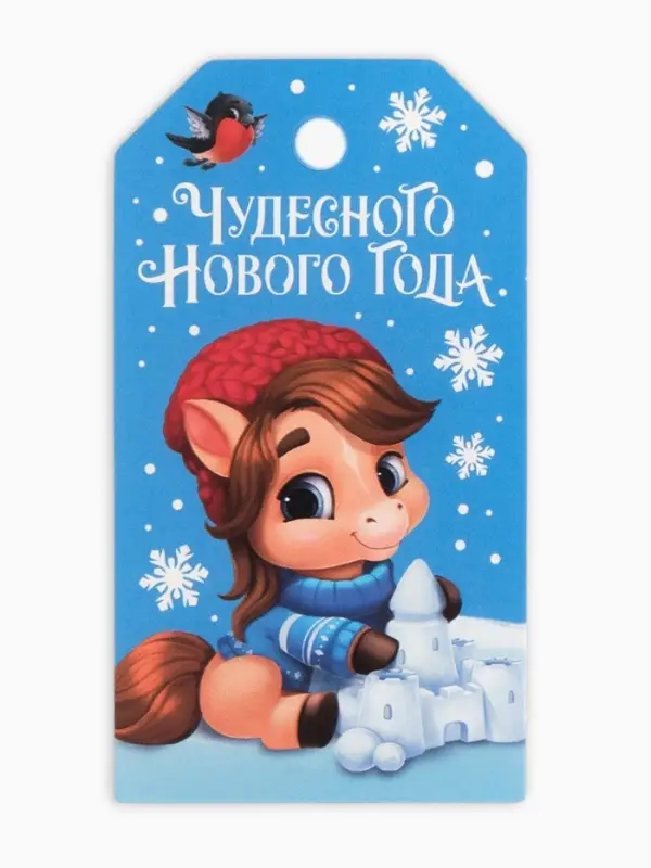 Шильдик декоративный в наборе «С Новым годом!», 9 х 5 см