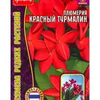 Семена цветов Плюмерия Красный Турмалин  3 шт. 12.2029 г.