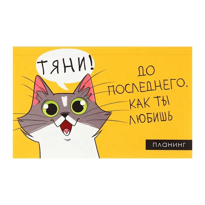 Планинг недатированный Calligrata &laquo;Планер трудоголика&raquo;, A6, 50 листов, на склейке, мягкая обложка