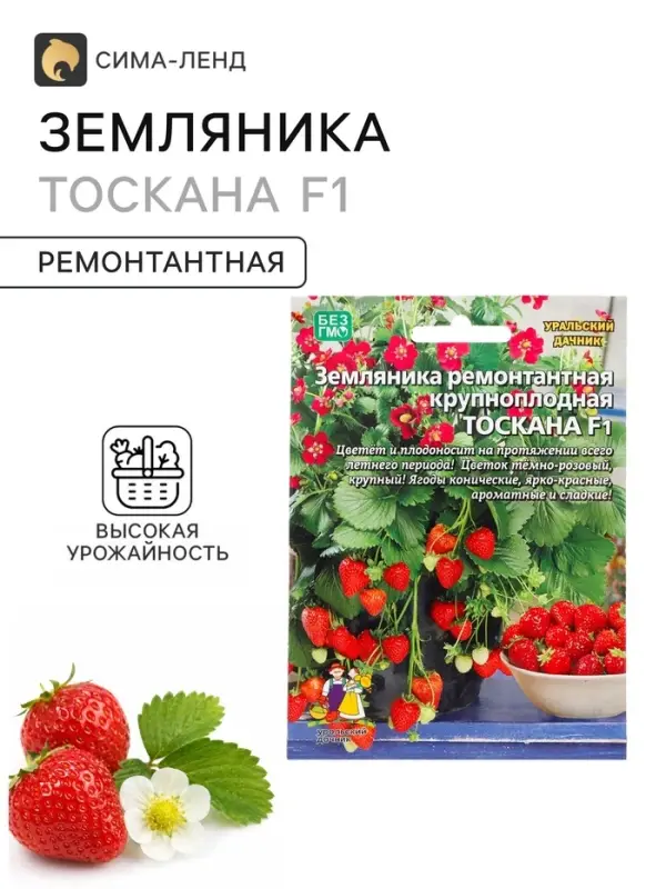 Семена Земляника &laquo;Тоскана&raquo;, F1, 5 шт., ремонтантная, крупноплодная, &laquo;Уральский дачник&raquo;