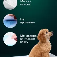 Пеленки впитывающие &laquo;Мой выбор&raquo;, 60&times;40 см, целлюлозные, набор 5 шт., розовые
