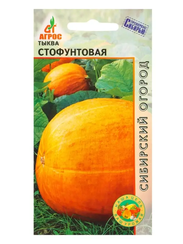 Семена Тыква Семена Тыква "Стофунтовая" 6 шт