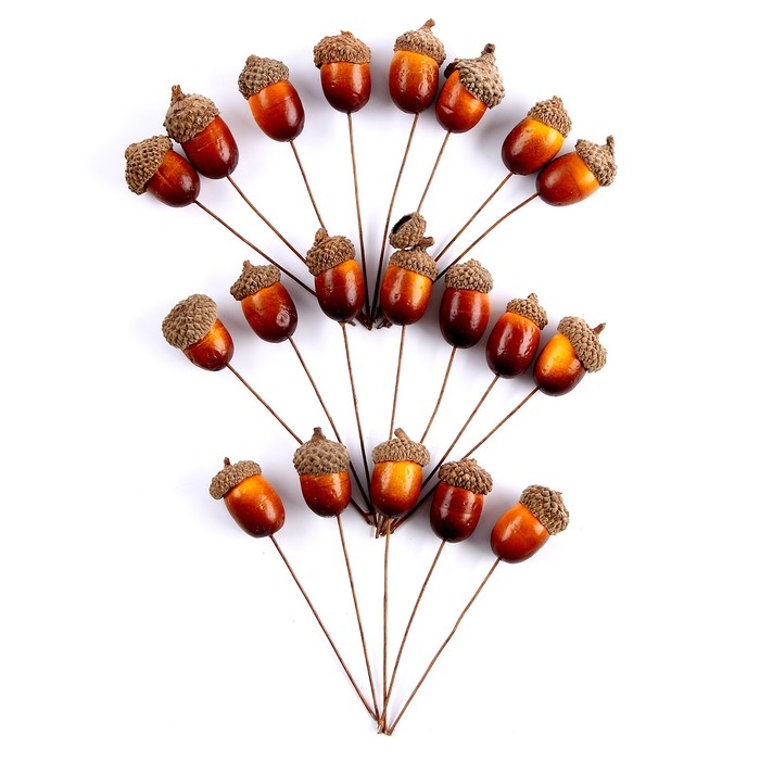 Декор для творчества «Желуди» набор 20шт, 3х2см Декор для творчества «Желуди» набор 20шт, 3х2см