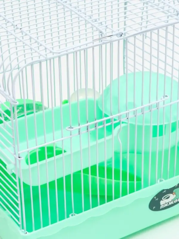 Клетка для грызунов &laquo;Пижон&raquo;, 23&times;17&times;26 см, эмаль, зелёная