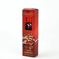 Ручка пластик пиши-стирай с колпачком "С Днём Защитника Отечества", синяя паста, 0,5 мм Ручка пластик пиши-стирай с колпачком "С Днём Защитника Отечества", синяя паста, 0,5 мм