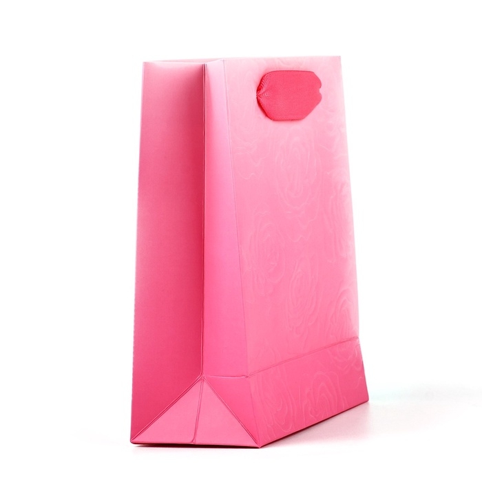 Пакет ламинированный вертикальный «Цветы», S 12 х 15 х 5.5 см Пакет ламинированный вертикальный «Цветы», S 12 х 15 х 5.5 см