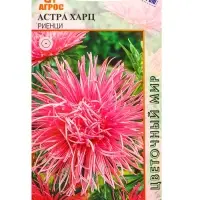 Семена Астра Харц Риенци 0,3 г Семена Астра Харц Риенци 0,3 г