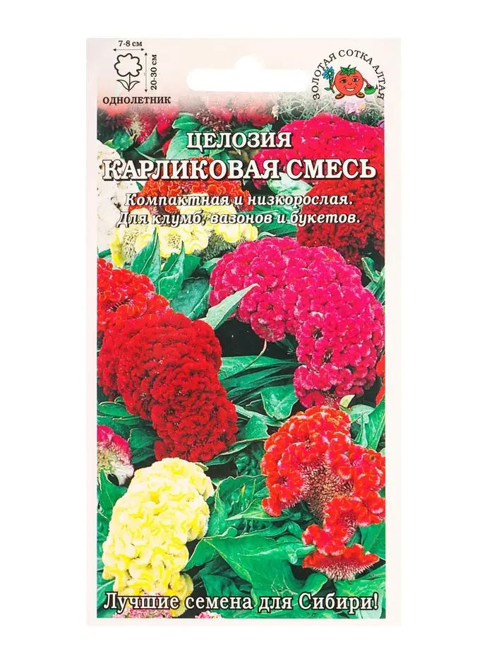 Семена Целозия Карликовая смесь /Сотка/ 0,1 г/*1800 Семена Целозия Карликовая смесь /Сотка/ 0,1 г/*1800