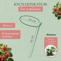 Кустодержатель для клубники, d = 20 см, h = 25 см, ножка d = 0.3 см, металл, зелёный, Greengo