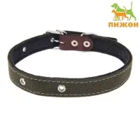 Ошейник брезентовый на фетре, 62&times;2.5 см, ОШ 30-55 см, тёмно-зелёный