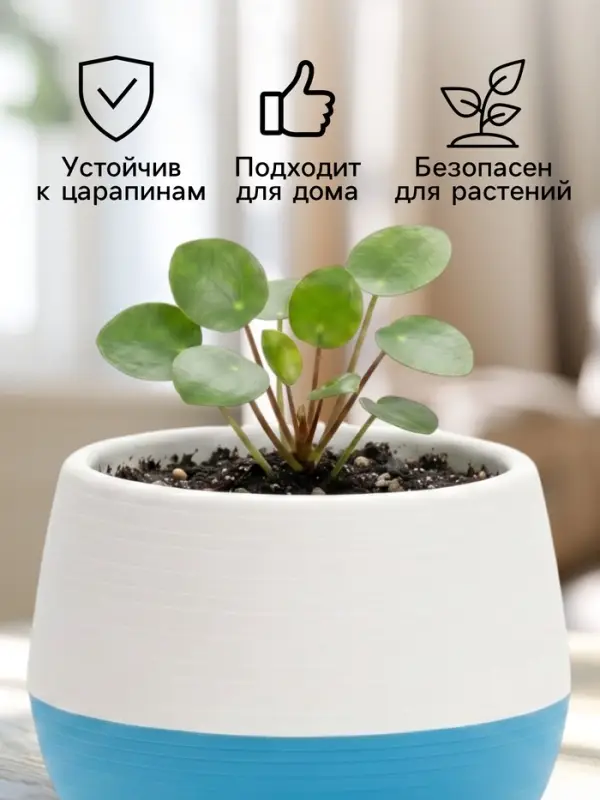 Горшок цветочный &laquo;Япония&raquo;, 125 мл, d=8 см, h=6.5 см, пластиковый, с поддоном, бело-бирюзовый