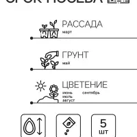 Семена цветов Пеларгония "Дансер Ворвик", смесь окрасок, F2, 5 шт.