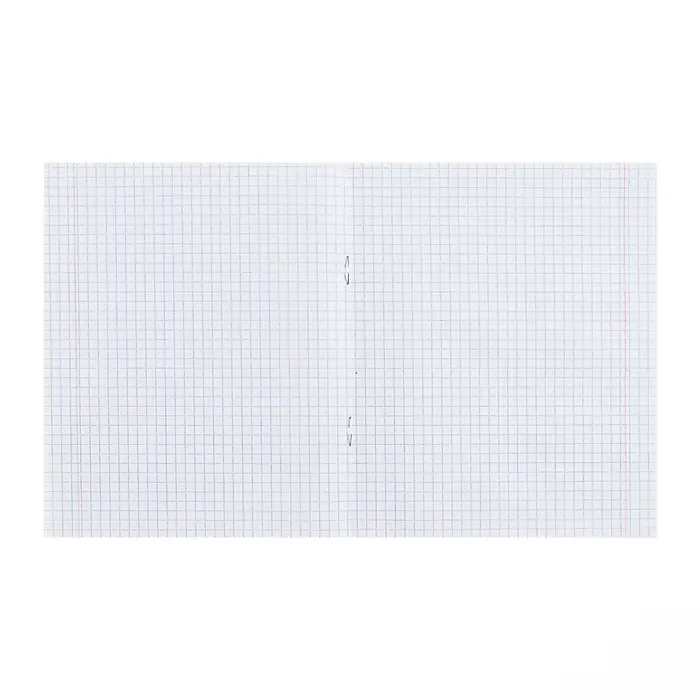 Тетрадь 24 листа клетка «Зелёная обложка», белые листы