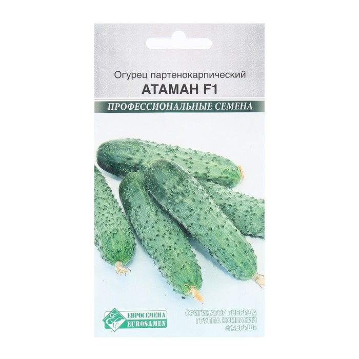 Семена Огурец партенокарпик Атаман F1, 5 шт Семена Огурец партенокарпик Атаман F1, 5 шт