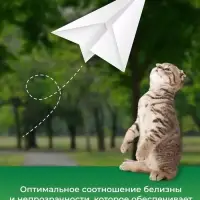 Бумага ИЛИМ &laquo;Стандарт&raquo;, А4, 500 листов, 80 г/м&sup2;, белизна 146% CIE, класс C