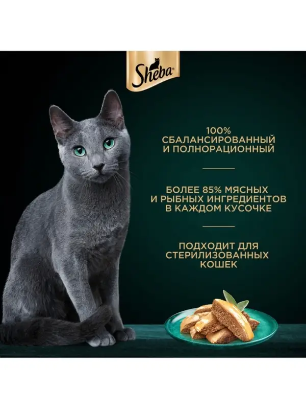 Влажный корм Sheba для кошек лосось, паштет, пауч 75 г