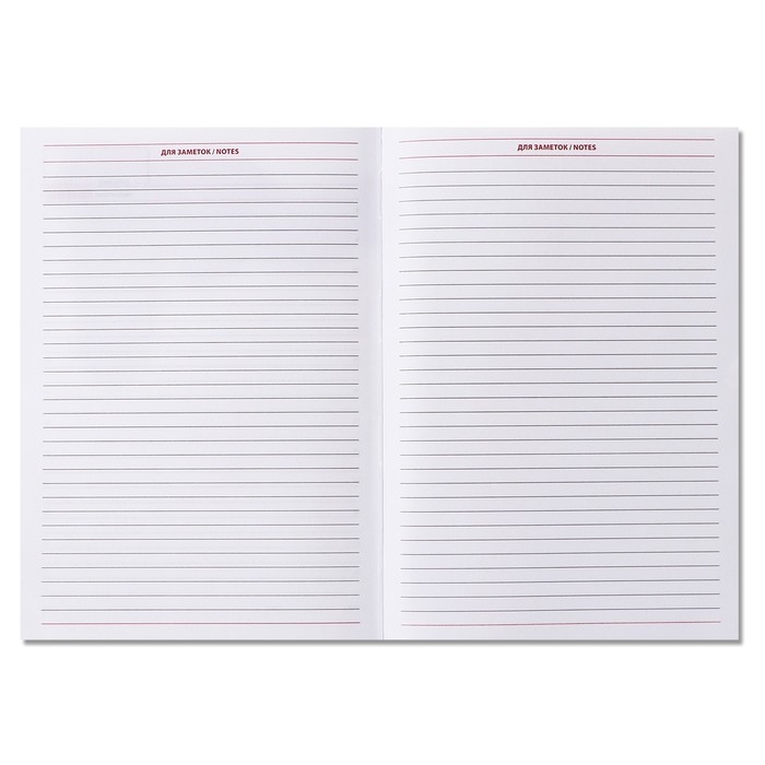 Ежедневник недатированный А5, 160 листов  Ежедневник недатированный А5, 160 листов "Вивелла", обложка искусственная кожа, перфорация углов, бордовый