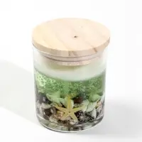 Свеча гелевая в банке &laquo;Зелёное море&raquo;, 6.7&times;6.7&times;8.5 см, 7 ч