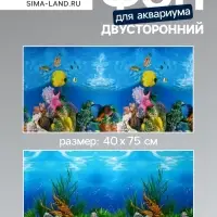 Фон для аквариума двухсторонний, 40&times;75 см