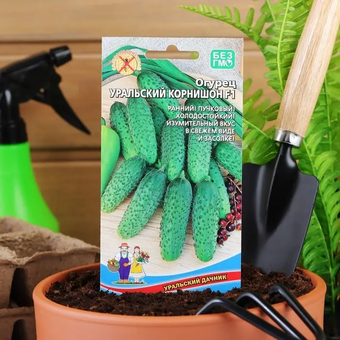 Семена Огурец Семена Огурец "Уральский корнишон" F1, раннеспелый, партенокарпический, 10 шт.