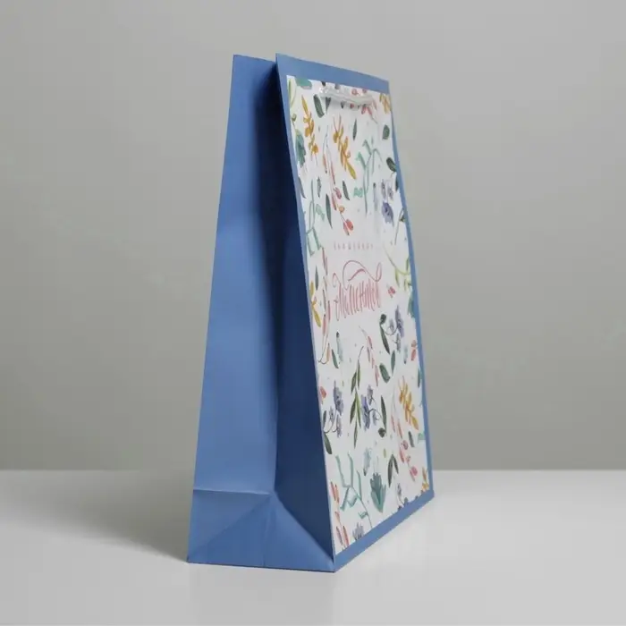 Пакет подарочный ламинированный, упаковка, Best wishes, ML 21&times;25&times;8 см