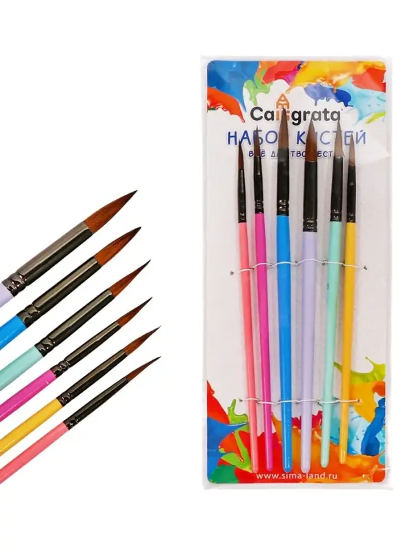 Набор кистей для рисования, пони, 6 штук: № 2, 4, 6, 8, 10, 12, круглые, с цветными ручками, пастель, международный размер