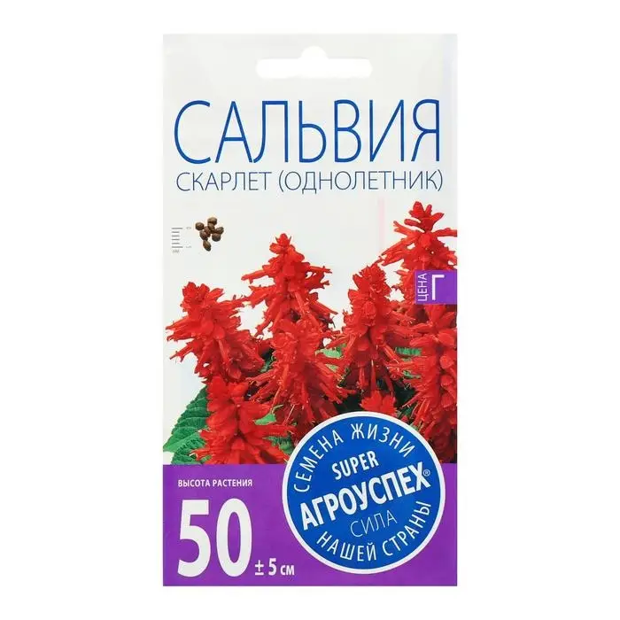 Семена цветов Сальвия Скарлет, О, 0,1г Семена цветов Сальвия Скарлет, О, 0,1г