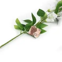 Цветы искусственные "Колокольчик Кампанулла" d-5 см 96 см, белый