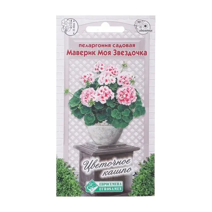 Семена Пеларгония садовая Маверик  Семена Пеларгония садовая Маверик "Моя Звездочка",  3 шт