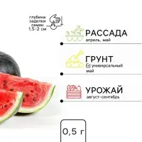 Семена Арбуз &laquo;Гаврош&raquo;, ранний, 0.5 г