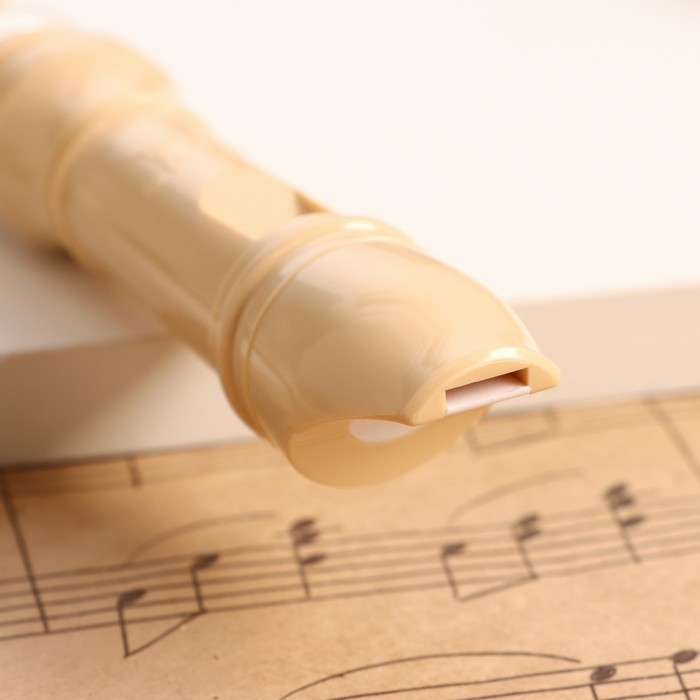 Блокфлейта Music Life, 8 отверстий, белый чехол, шомпол, 30 см Блокфлейта Music Life, 8 отверстий, белый чехол, шомпол, 30 см