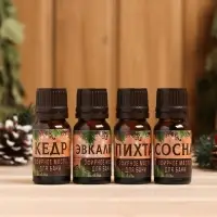 Новогодний набор эфирных масел &laquo;С Новым Годом!&raquo;, в подарочной коробке, пихта, эвкалипт, кедр, сосна, 4 шт. по 10 мл