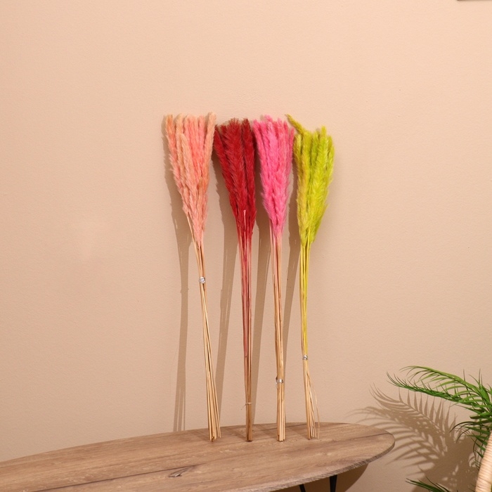 Набор сухоцветов 80 см (10 шт) цвет микс Набор сухоцветов 80 см (10 шт) цвет микс