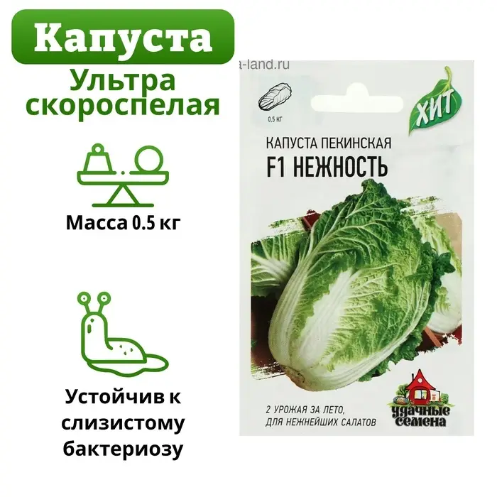 Семена Капуста пекинская  Семена Капуста пекинская "Нежность" F1, ц/п, 0,1 г  серия ХИТ х3
