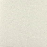 Полотенца бумажные д/дисп. Luscan Professional Vсл1слвт200л20пач/уп