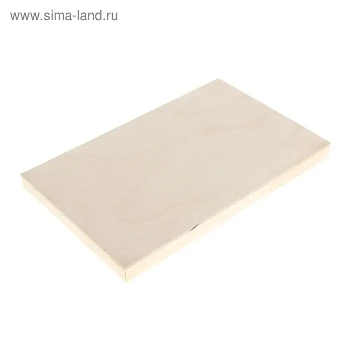 Планшет деревянный 20 х 30 х 2 см, фанера