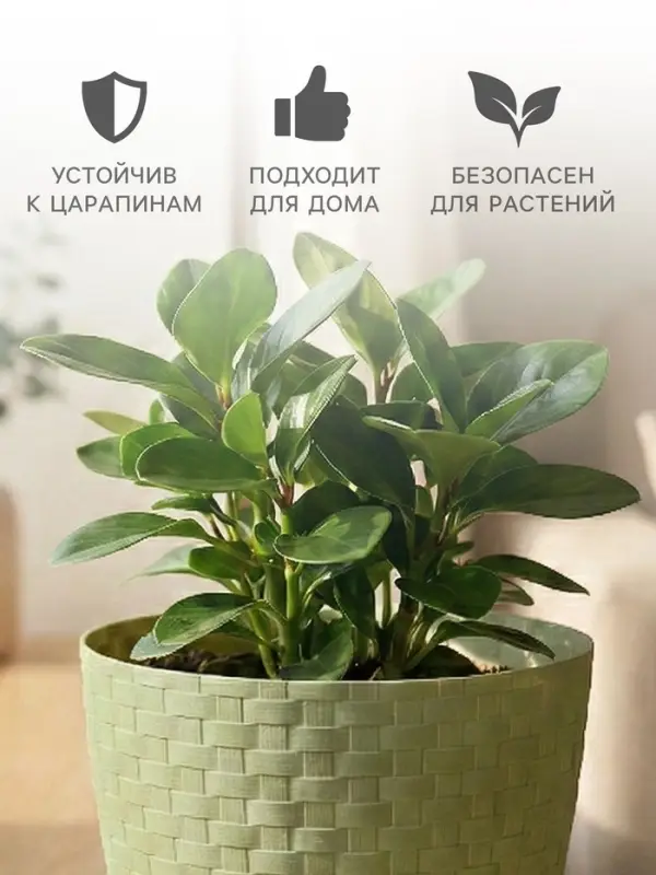 Горшок для цветов с поддоном &laquo;Ротанг&raquo;, 1.2 л, d=13 см, h=12 см, пластиковый, оливковый