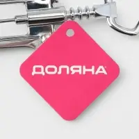 Штопор для вина Доляна &laquo;Мастер&raquo;, 16 см, цвет серебристый