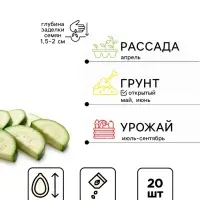 Семена Кабачок белоплодный &laquo;Пан Яцек&raquo;, F1, 20 шт., &laquo;Григорьев&raquo;