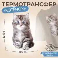 Термонаклейка «Котёнок», 11.6×19 см