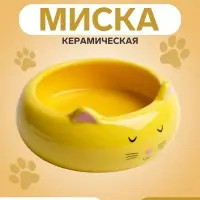 Миска &laquo;Кошка-лепёшка&raquo;, 200 мл, 13&times;13&times;5.5 см, керамика, жёлтая