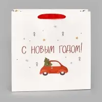 Пакет подарочный ламинированный квадратный «Волшебного», 22×22×11 см Пакет подарочный ламинированный квадратный «Волшебного», 22×22×11 см