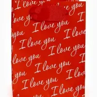 Пакет ламинированный Love you, 9 × 12 × 6,5 см Пакет ламинированный Love you, 9 × 12 × 6,5 см