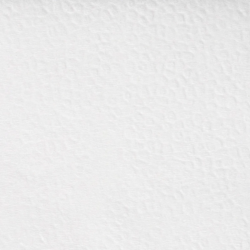 Салфетки бумажные BIG PACK 1сл.24х24 белые 600шт./уп