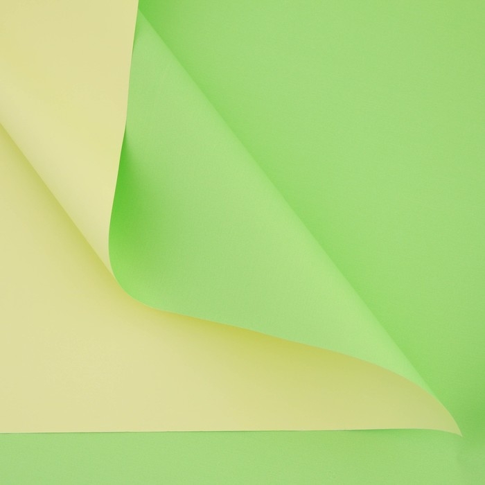 Плёнка для цветов упаковочная пудровая двухсторонняя «Салатовый+жёлтый», 50 мкм, 0.5 х 10 м Плёнка для цветов упаковочная пудровая двухсторонняя «Салатовый+жёлтый», 50 мкм, 0.5 х 10 м